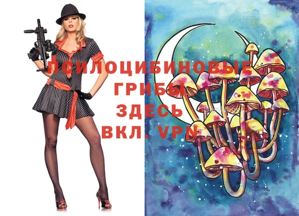мдпв Киреевск