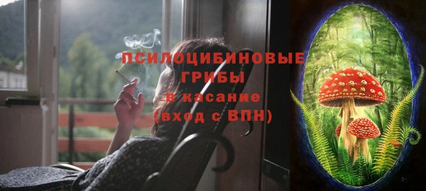 мдпв Киреевск