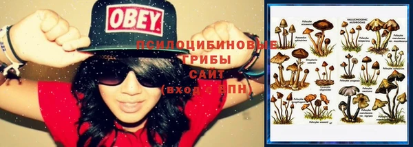 apvp Кинешма