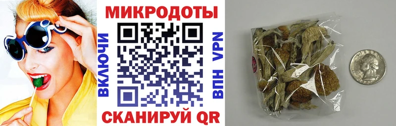 Купить где  Аргун  Псилоцибиновые грибы Cubensis 