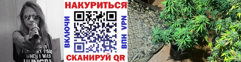 Конопля SATIVA & INDICA  Купить  Аргун 